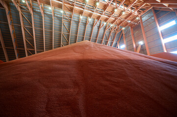 Wall Mural - High pile of red color potassium fertilizers in storehouse