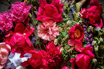 Wall Mural - peony flowes on the pink background