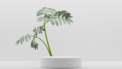 Empty podium Blank product shelf standing backdrop. 3D rendering.