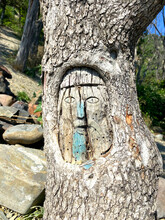 Face Of Man In The Tree - Tree Carving Of An People Face. Forest, Mountain Rocky Area.