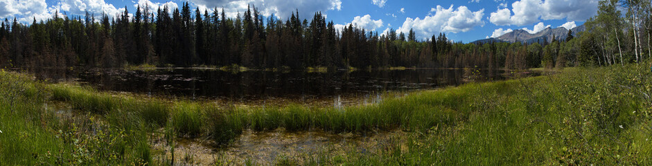 Small lake at Pyramid Trail in Jasper National Park,Alberta,Canada,North America
