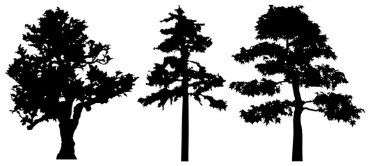 Png silhouette of isolated trees.