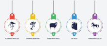 Infographic Element Template With Free Animals Filled Icons Such As Flamingo With Leg Up, Chewing Bone For Dog, Sheep With Wool, Cat Head, Horse Leg Up Vector.