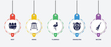 Infographic Element Template With Wildlife Filled Icons Such As Nest, Swing, Flamingo, Orangutan, Vaccine Vector.