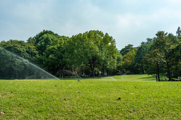 Wall Mural - Panorama of big city park