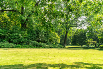 Wall Mural - Panorama of big city park