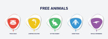 Infographic Element Template With Free Animals Filled Icons Such As Frog Head, Jumping Dolphin, Sitting Rabbit, Sheep Head, Whale Swimming Vector.