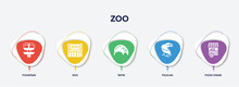 Infographic Element Template With Zoo Filled Icons Such As Fountain, Zoo, Tapir, Toucan, Food Stand Vector.
