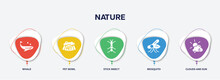 Infographic Element Template With Nature Filled Icons Such As Whale, Pet Bowl, Stick Insect, Mosquito, Clouds And Sun Vector.