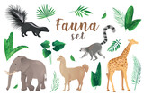 Fototapeta Konie - Fauna in cartoon style set isolated elements. Vector illustration