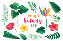 Jungle Botany In Cartoon Style Set Isolated Elements. Vector Illustration