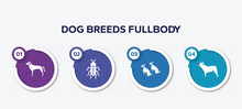 Infographic Element Template With Dog Breeds Fullbody Filled Icons Such As Rottweiler, Red Soldier Beetle, Dogs, French Bulldog Vector.
