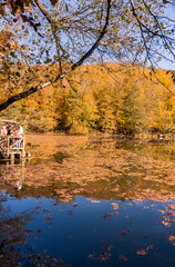 Wall Mural - Beautiful fall scene in the forest: Autumn nature reflection on blue lake. Vivid morning in colorful park with branches of trees. sunlight and colorful leaves. Yedigoller National Park, Bolu Turkey