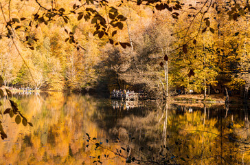 Wall Mural - Beautiful fall scene in the forest: Autumn nature reflection on blue lake. Vivid morning in colorful park with branches of trees. sunlight and colorful leaves. Yedigoller National Park, Bolu Turkey
