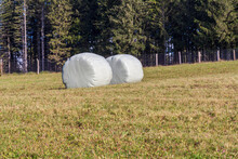 Two Bales Of Hay In A Meadow In Autumn