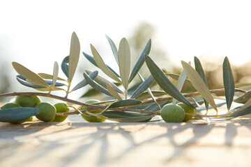 Wall Mural - olive oil and green olive on the wooden background