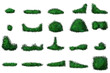Set of green bush and tree crown of different shapes. Ornamental plant shrub for decorate of a park, a garden or a green fence.
