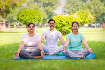 Wall Mural - Indian Group doing yoga in garden