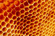 © Leonid Nyshko - Yellow Honeycomb closeup structure
