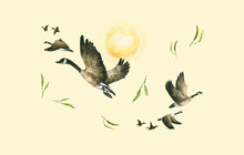 Watercolor Wild Geese And Green Leaves. Hand Drawn Illustration Is On Yellow Background. Flying Wedge Of Birds Is Perfect For Natural Design, Eco Card, Rural Poster, Children's Wallpaper