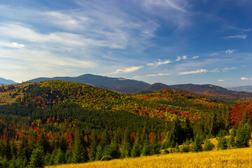  Cosy evening in Carpathians. Summer landscape in mountains. Ukraine, Europe