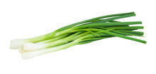 Green Onion Isolated On Transparent Background With PNG.