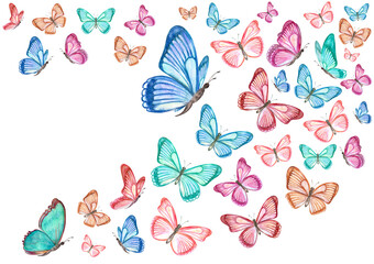 Wall Mural - flying colorful butterflies for your design. watercolor painting. png