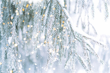 Wall Mural - snowy branches of christmas trees with lights from garlands against falling snow.