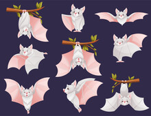 Funny Grey Bat With Cute Snout Hanging Upside Down On Tree Branch And Flying Vector Set