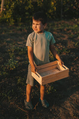 Cute caucasian child boy holding empty wooden box in the garden at sunset. Summer season concept. People lifestyle concept. Home delivery. Harvest concept.