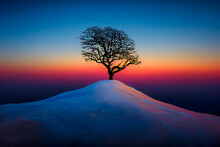 A Winter Landscape With A Lonely Tree. There Is A Lot Of Snow And Ice, And A Sky That Is Pure And Colorful. The Scene Is Calming And The Sunset Is Beautiful.