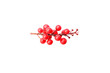 red berry isolated on white background