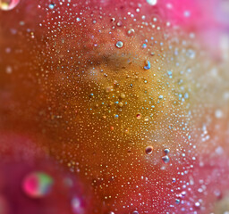 Poster - abstract macro of glitter ball.