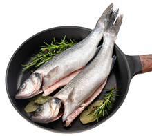 PNG. Sea Bass Fish. Two Peeled Raw Sea Bass, Spices And Rosemary Branches In A Skillet