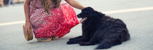 Young Elegant Woman Patting Stray Dog Lying On The Street On A Beautiful Summer Day