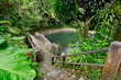 Stone bridge walkway in El Yunque Rainforest on the island of Puerto Rico, the only tropical rain forest in the United States National Forest System