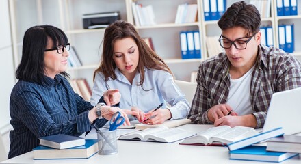 Wall Mural - Young student and teacher during tutoring lesson