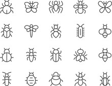 Insect Line Icons Set.