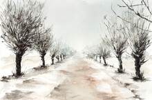 Frozen Winter Road With Willow Trees. Watercolor On Paper.