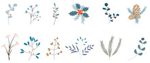 Set Of Winter Botanical Leaves On White Background. Collection Of Winter Christmas Foliage, Pine Leaf, Holly, Oak, Eucalyptus, Mistletoe. Design For Print, Sticker, Decoration, Card, Poster, Artwork. 