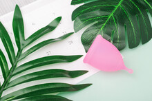 Menstrual Cup And Period Calendar For Menstruation With Green Leaves