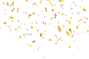 Wall Mural - Flying gold silver shiny tinsel or confetti isolated png. Festive effect.