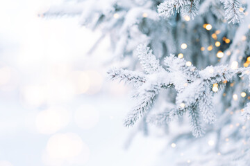 Wall Mural - outdoors christmas tree in snow background with tree lights.