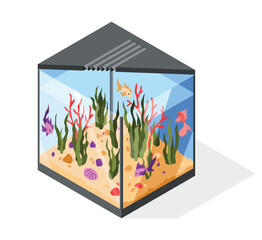 Isometric aquarium in minimalistic style with goldfish and set of underwater elements, corals. Transparent acrylic box for exhibit. Vector illustration showcase glass on white background