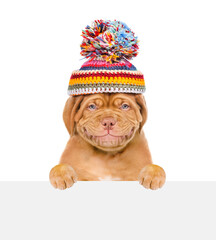 Poster - Smiling puppy wearing a warm hat looks above empty white board. isolated on white background