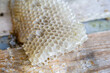 empty honeycomb