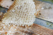 empty honeycomb