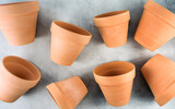 Fototapeta Kwiaty - clay pots on gray background