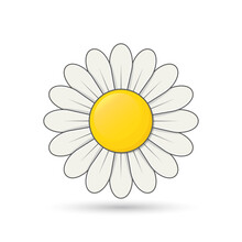 Daisy Cute Flower, Simple Shadow, Daisy Vector, Flower Sign.