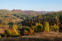 Hills Overgrown With Colorful Forest In Autumn, Sunlit By The Evening Sun, Autumn Landscape With Hills Overgrown In Lush Forest